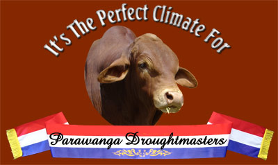 Parawanga Droughmaster Stud Logo